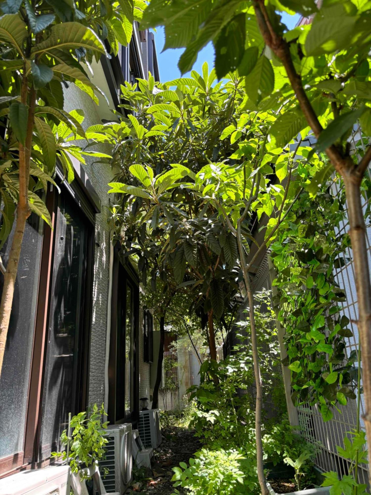 Guest House Harukawa Osaka Dış mekan fotoğraf
